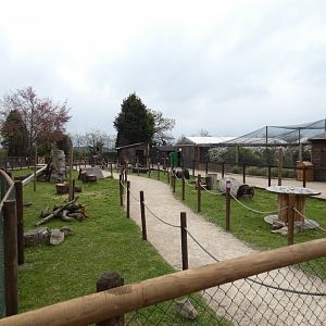 Goat walk-through in Gruffalo Discovery Land