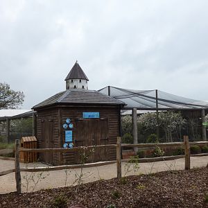 "The deep, dark wood aviary" in Gruffalo Discovery Land