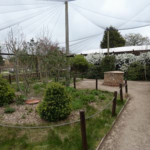 Inside walk-through aviary in Gruffalo Discovery Land