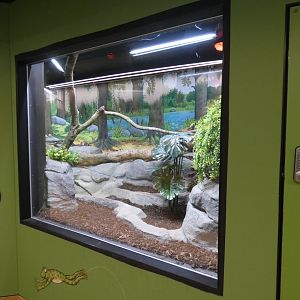 Boa constrictor enclosure