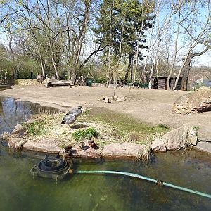 South-American enclosure (04/22) (species list in description)