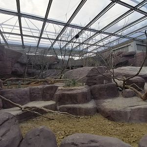 Porcupine & Prairie-dog enclosure