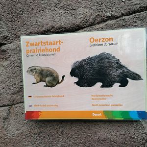 Signage black-tailed prairie-dog & North-American porcupine