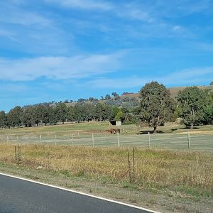 View of Mansfield Zoo from the road