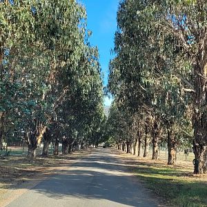 Mansfield Zoos entrance driveway