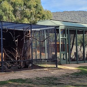 Black Cockatoo and Masked Owl Aviaries