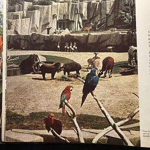 1973 Official Zoo Guidebook - South America exhibit