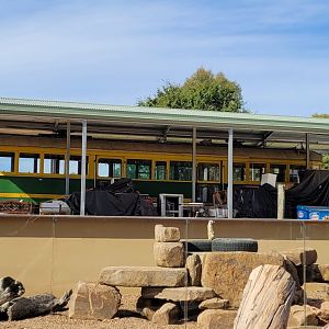 New Tram café area, seen from the Meerkat enclosure