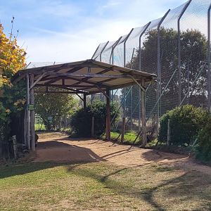 White Lion viewing shelter