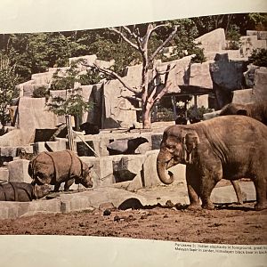 1973 Official Zoo Guidebook - Asia section