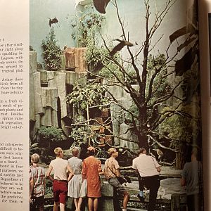 1973 Official Zoo Guidebook - Aviary
