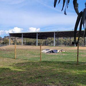 New horse arena built beside the Bison