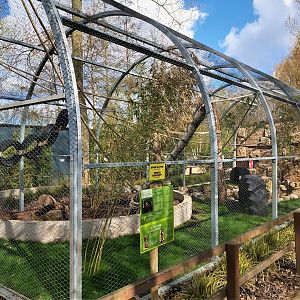 Black-capped capuchin enclosure
