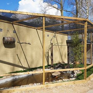 Laughing kookaburra enclosure