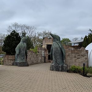Penguin exhibit entrance  (2019)