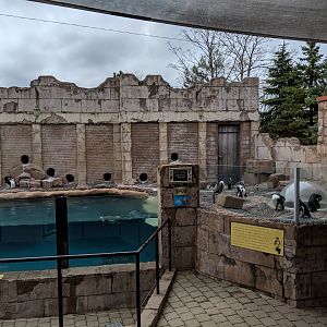 Penguin habitat  (2019)