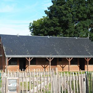 Domestic sheep and Domestic goat stable, 2021-08-15