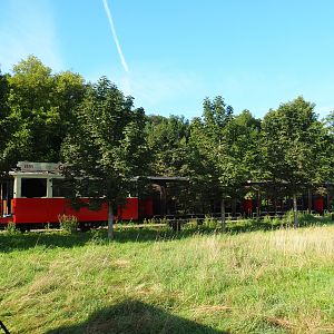 Tram traveling between entrance area and entrance and exits of wildlife park, 2021-08-15