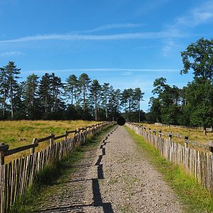 Walkway between Eurasian forest reindeer paddocks, 2021-08-15