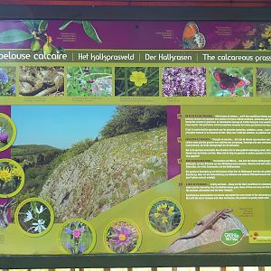 Habitats present on park grounds signage - Calcareous grasslands, 2021-08-15