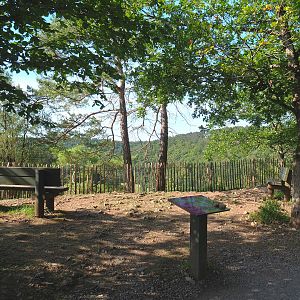 Viewing point over the Lesse Valley and the lower part of the wildlife park, 2021-08-15