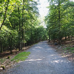 Wildlife park trail, 2021-08-15