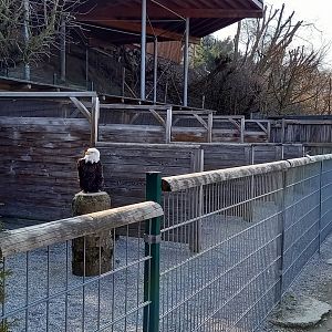 Part of the Bird of Prey Center