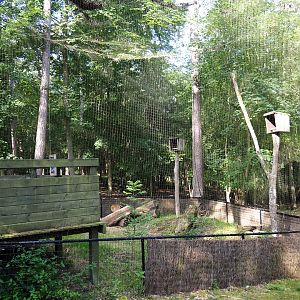 Owl aviary undergoing renovations, 2021-08-15
