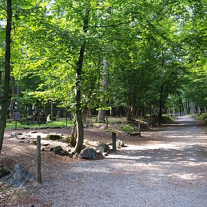 Wildlife park trail and Eurasian eagle owl aviary viewing area, 2021-08-15