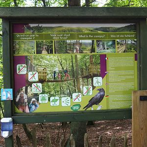Signage about the canopy trail, 2021-08-15