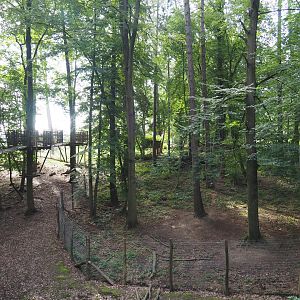 Arctic fox exhibit and part of the canopy trail, 2021-08-15