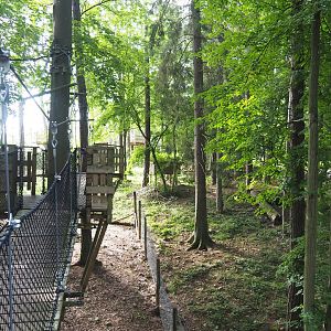 Arctic fox exhibit and part of the canopy trail, 2021-08-15
