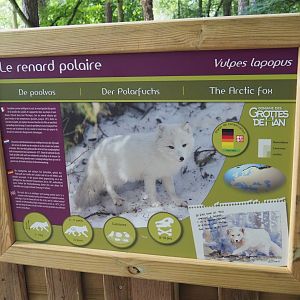 Arctic fox signage, 2021-08-15