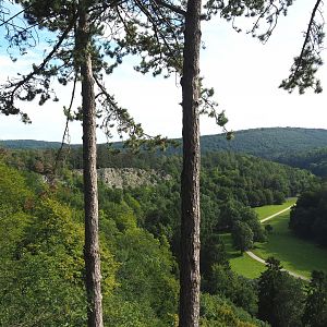 Landscape view of the Lesse Valley and the lower part of the wildlife park seen from the canopy trail, 2021-08-15