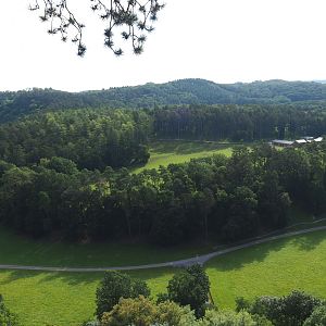 Landscape view of the Lesse Valley and the lower part of the wildlife park seen from the canopy trail, 2021-08-15