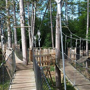 Canopy trail, 2021-08-15