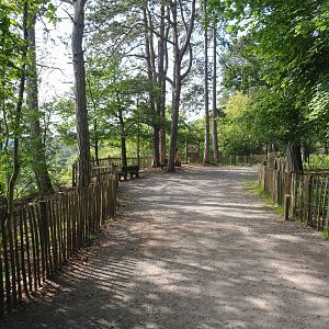 Wildlife park trail and viewing area over Lesse Valley with corvid education, 2021-08-15