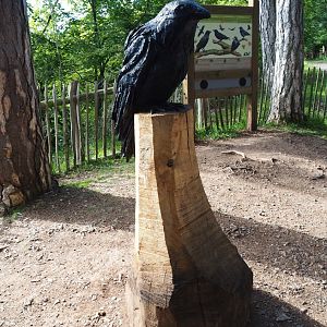 Corvid wood carving, 2021-08-15