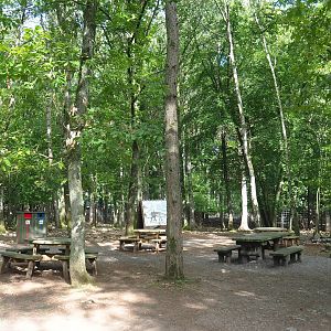 Visitor area near the Eurasian forest reindeer paddock, 2021-08-15