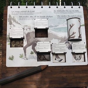 Reindeer biology signage, 2021-08-15