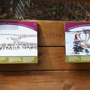 Examples of signs telling story about reindeer migration, 2021-08-15