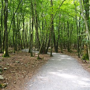 Wildlife park trail, 2021-08-15