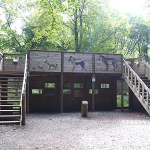 Eurasian wolf viewing area, 2021-08-15