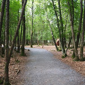 Wildlife park trail, 2021-08-15