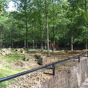 Alpine marmot exhibit, 2021-08-15