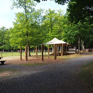 Visitor area between the Alpine marmot exhibit and the Sika deer paddock, 2021-08-15