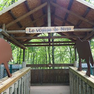 Eurasian wolf viewing area, 2021-08-15