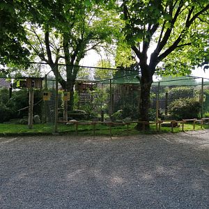 Owl's aviaries