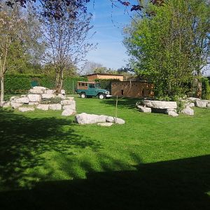 First Cheetah exhibit (Acinonyx jubatus)