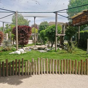 South American aviary
